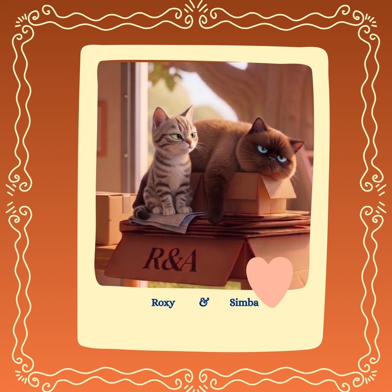Roxy et Simba, les deux chats, posés sur des cartons